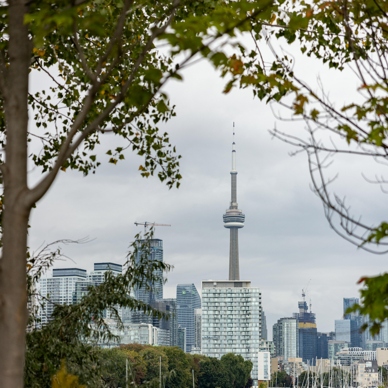 Fall, Spring, & Winter Climate Controlled Cruises